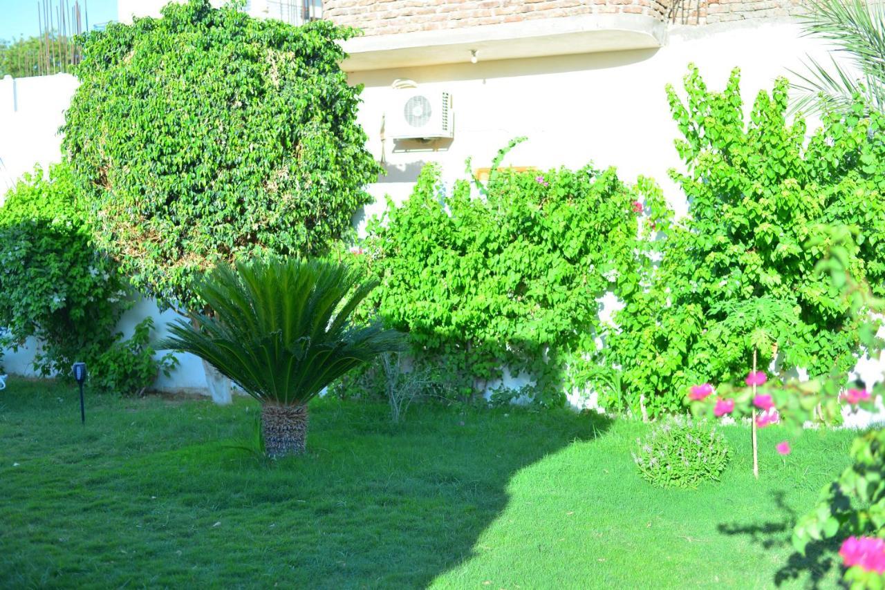 Luxor Rose Villa Εξωτερικό φωτογραφία
